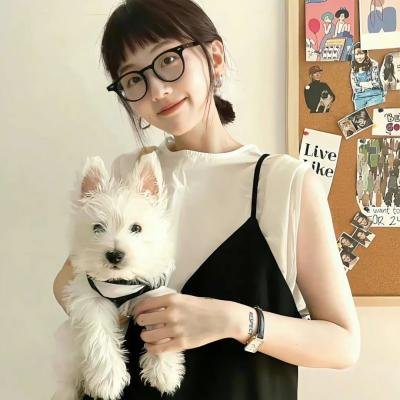 驯鹿大冒险：超越北极光
